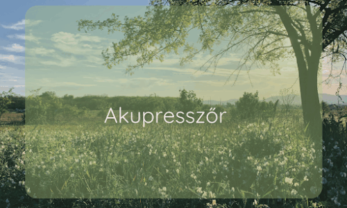 kurzus bélyegképe